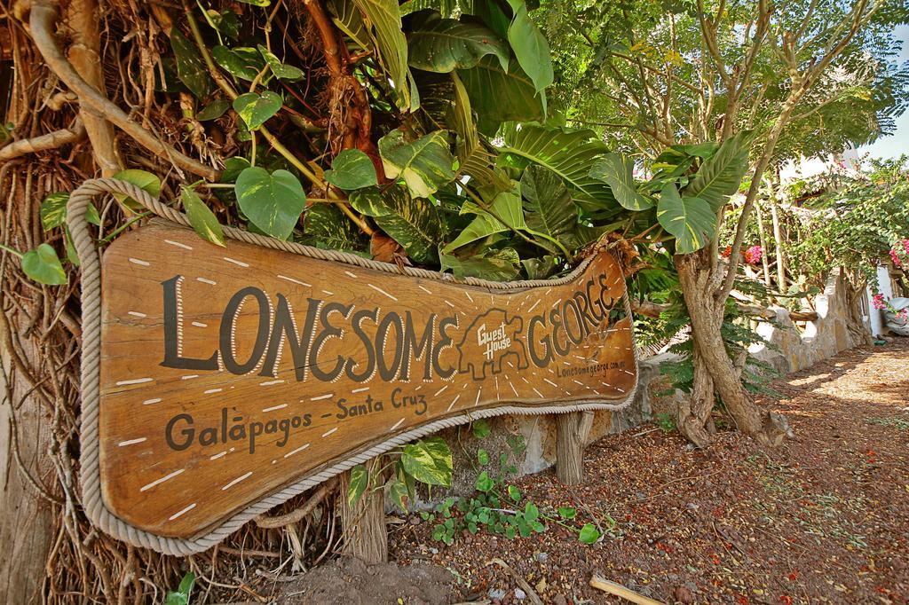 Lonesome George Ecolodge Puerto Ayora  Kültér fotó